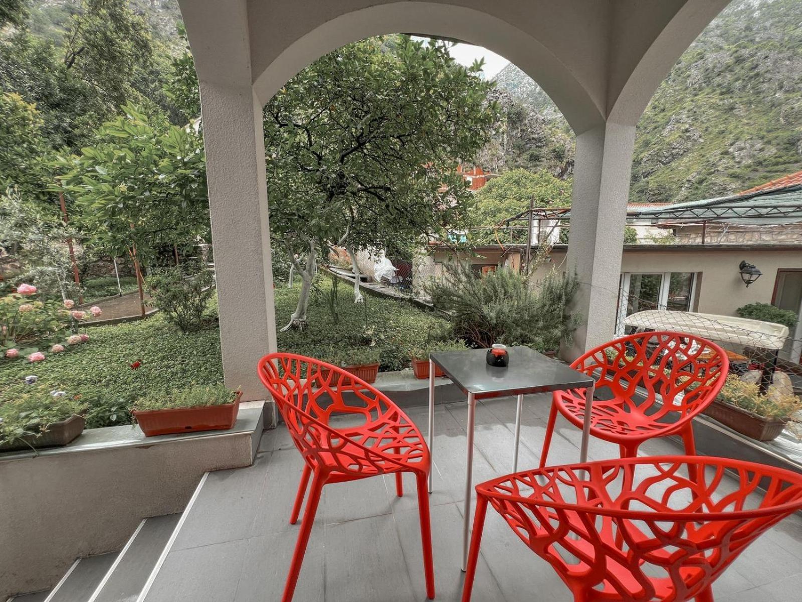 Absolute Adriatic Apartment Kotor Exterior photo